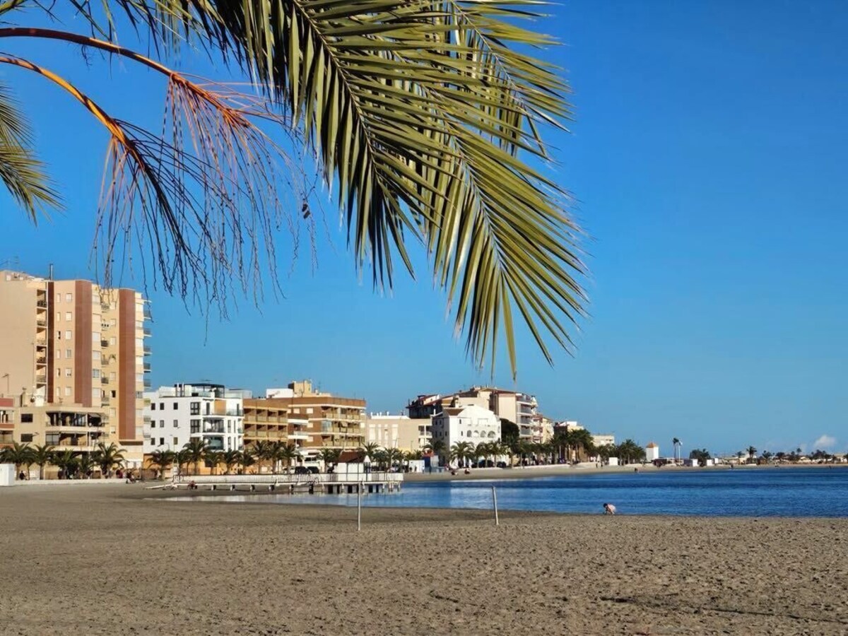 Disfruta del sol